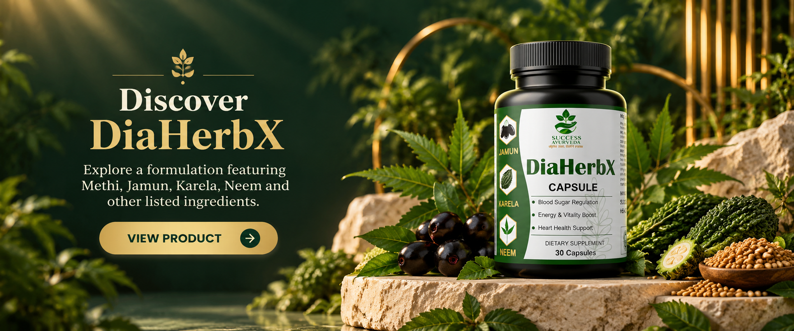 Success Ayurveda DiaHerbX