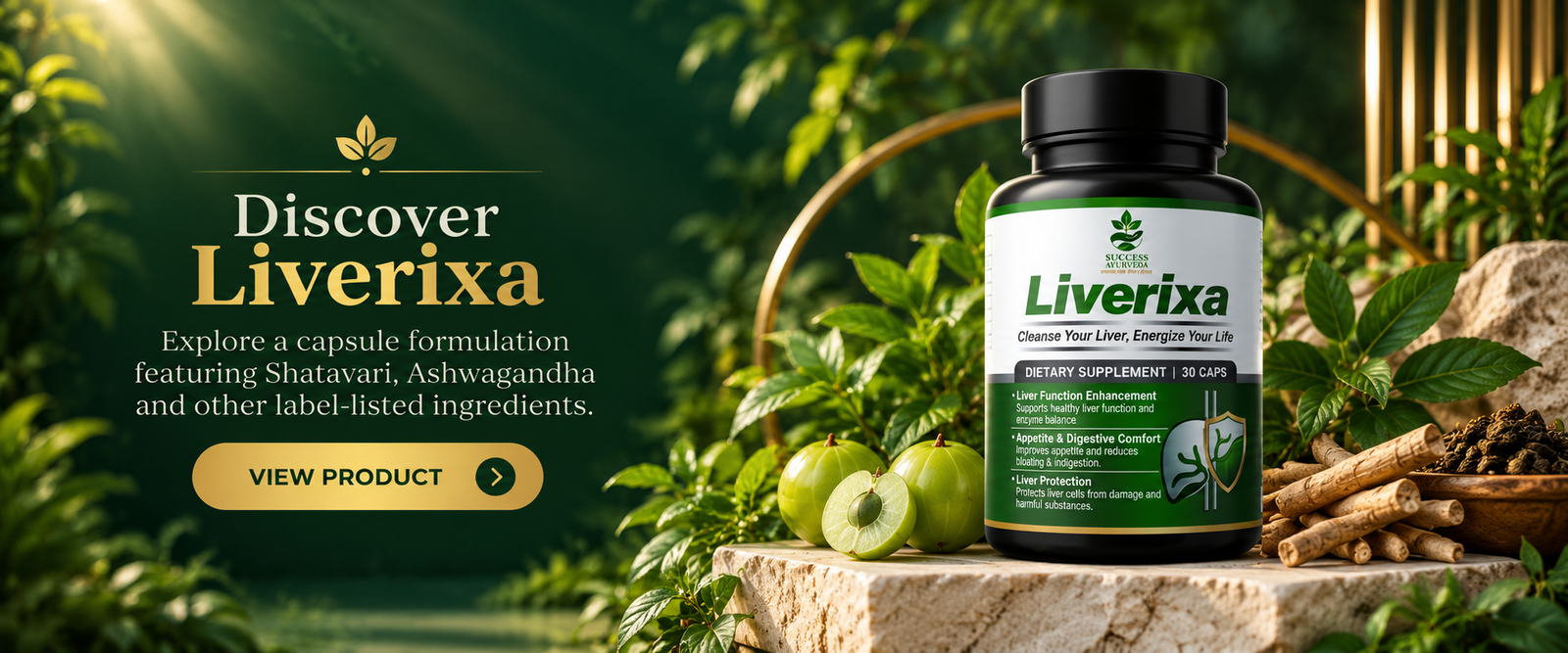 Success Ayurveda Liverixa