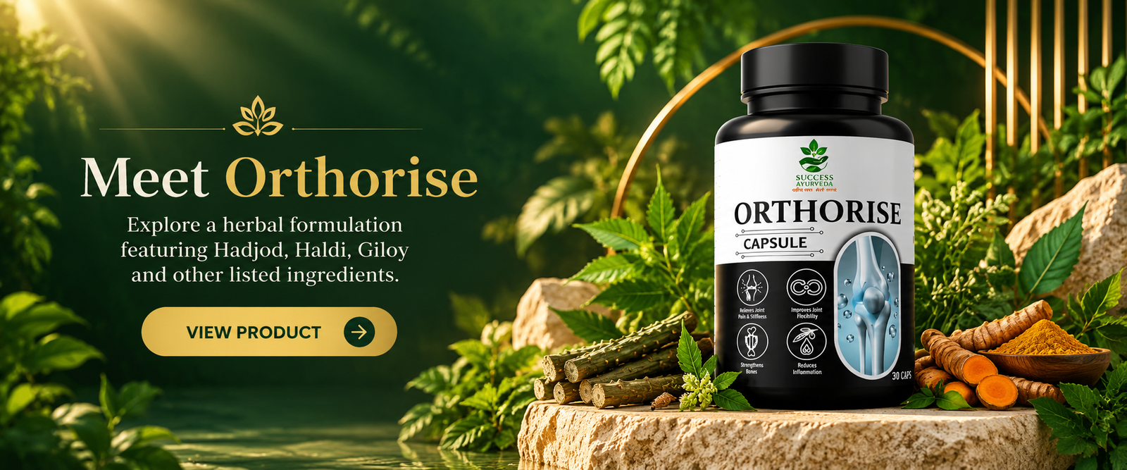 Success Ayurveda Orthorise